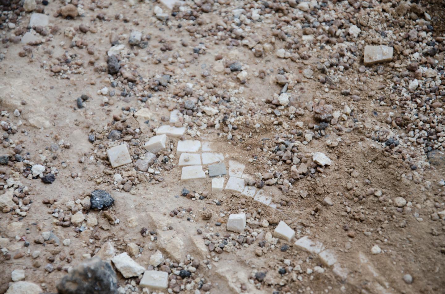 A Mosaic at Umm el-Jimal