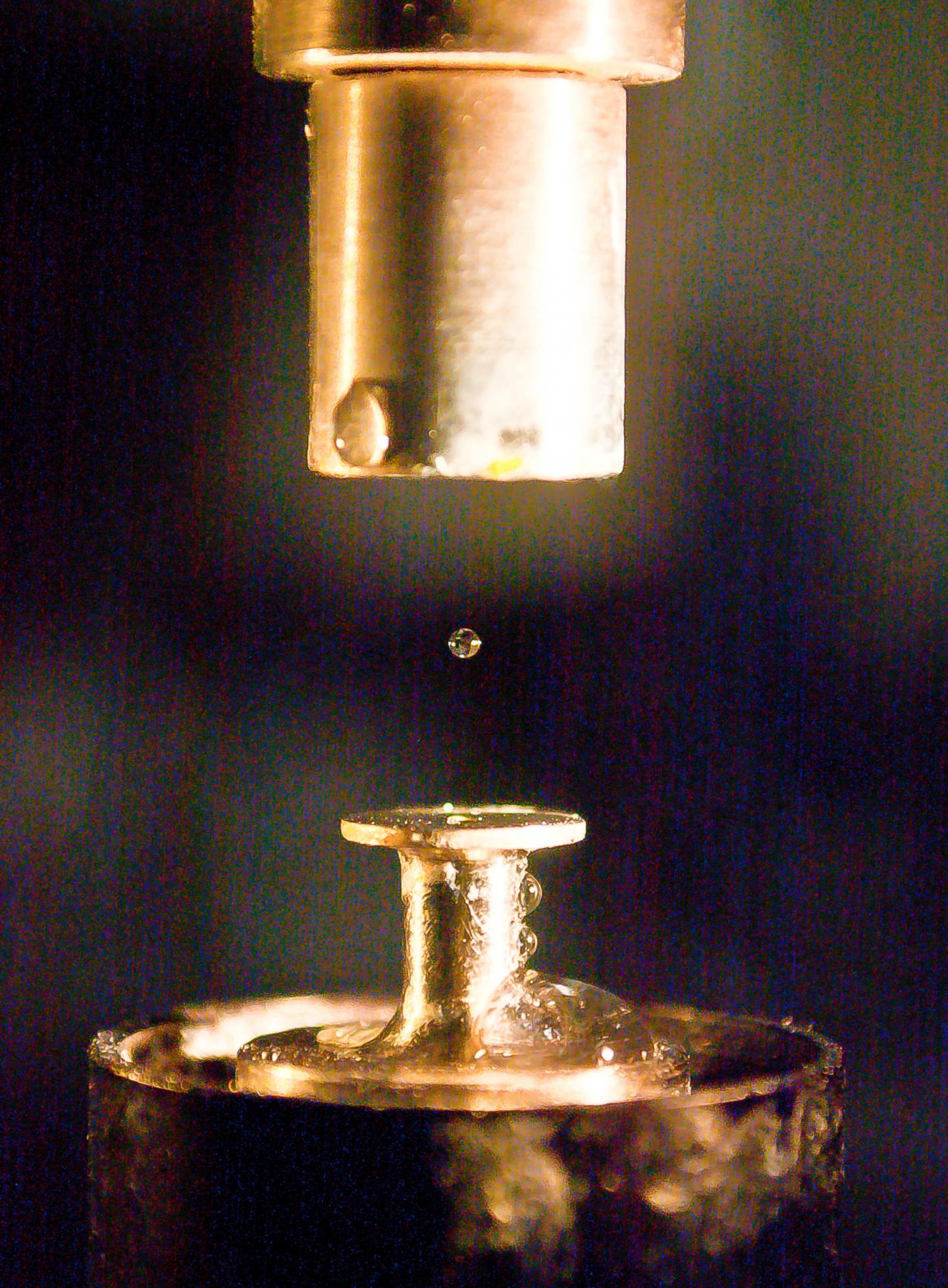 A droplet suspended in an acoustic levitator