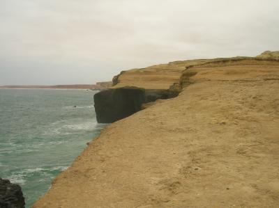 Paleontologists Precisely Date Coast of Angola