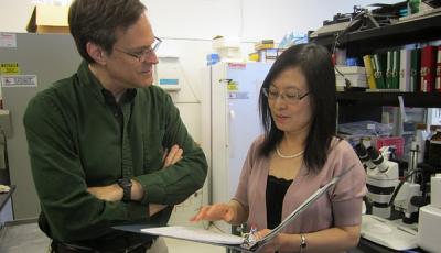 Xiaoyin Wang, M.D. and Matt Springer, Ph.D., University of California - San Francisco