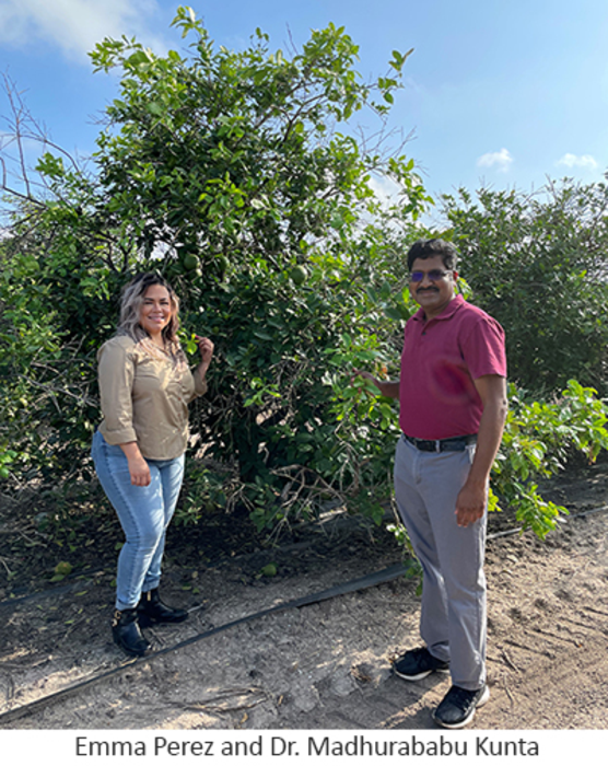 Emma Perez and Dr. Madhurababu Kunta with grapefruit tree