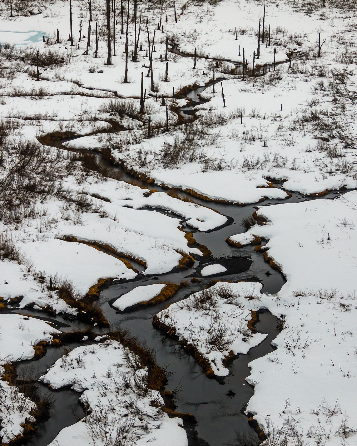 Warm temperatures can cause snow and ice to melt earlier in the season.