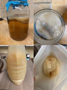 Better kombucha brewing through chemistry