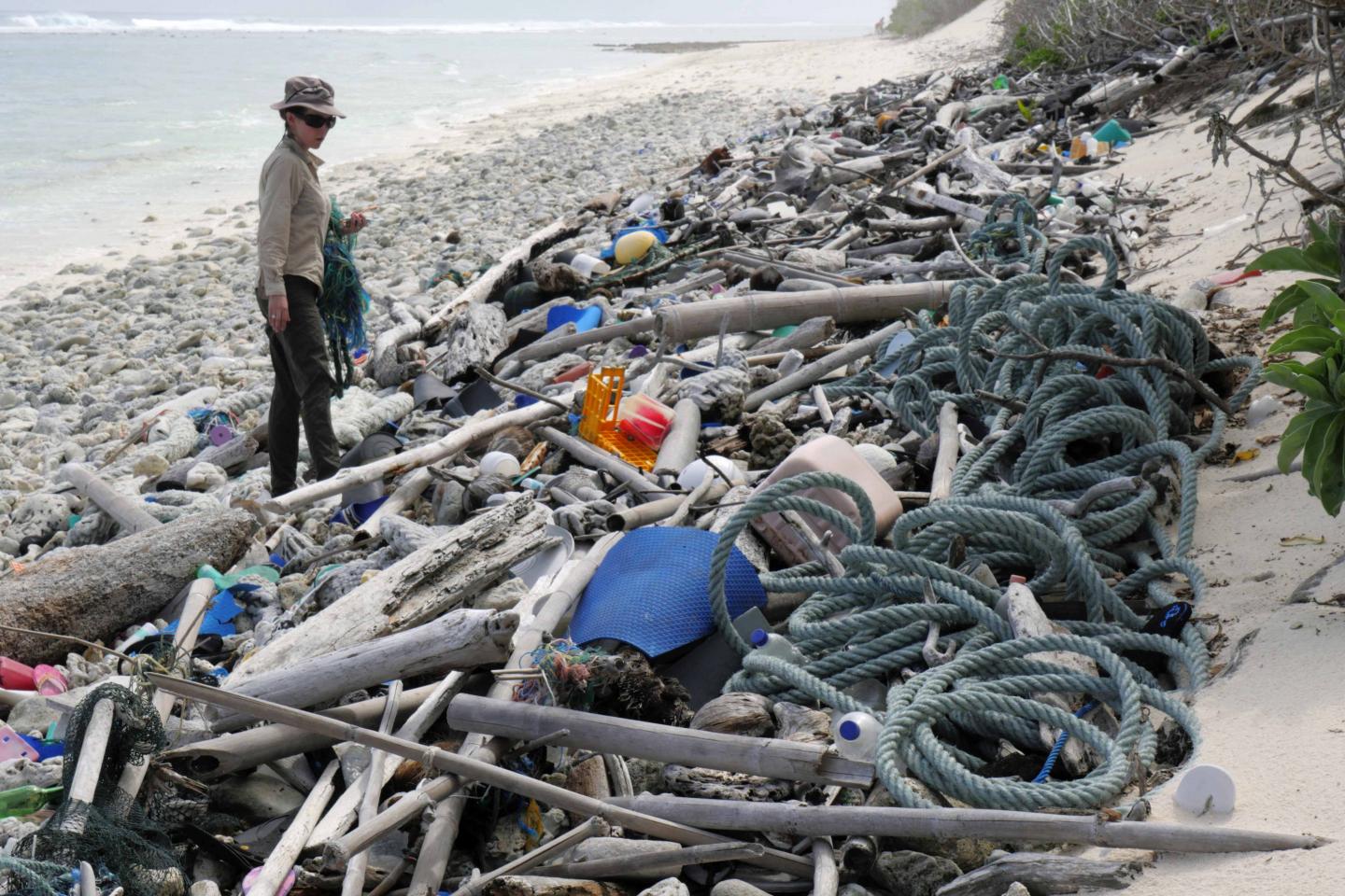 Dr. Jennifer Lavers with Washed-Up Plastic Debris