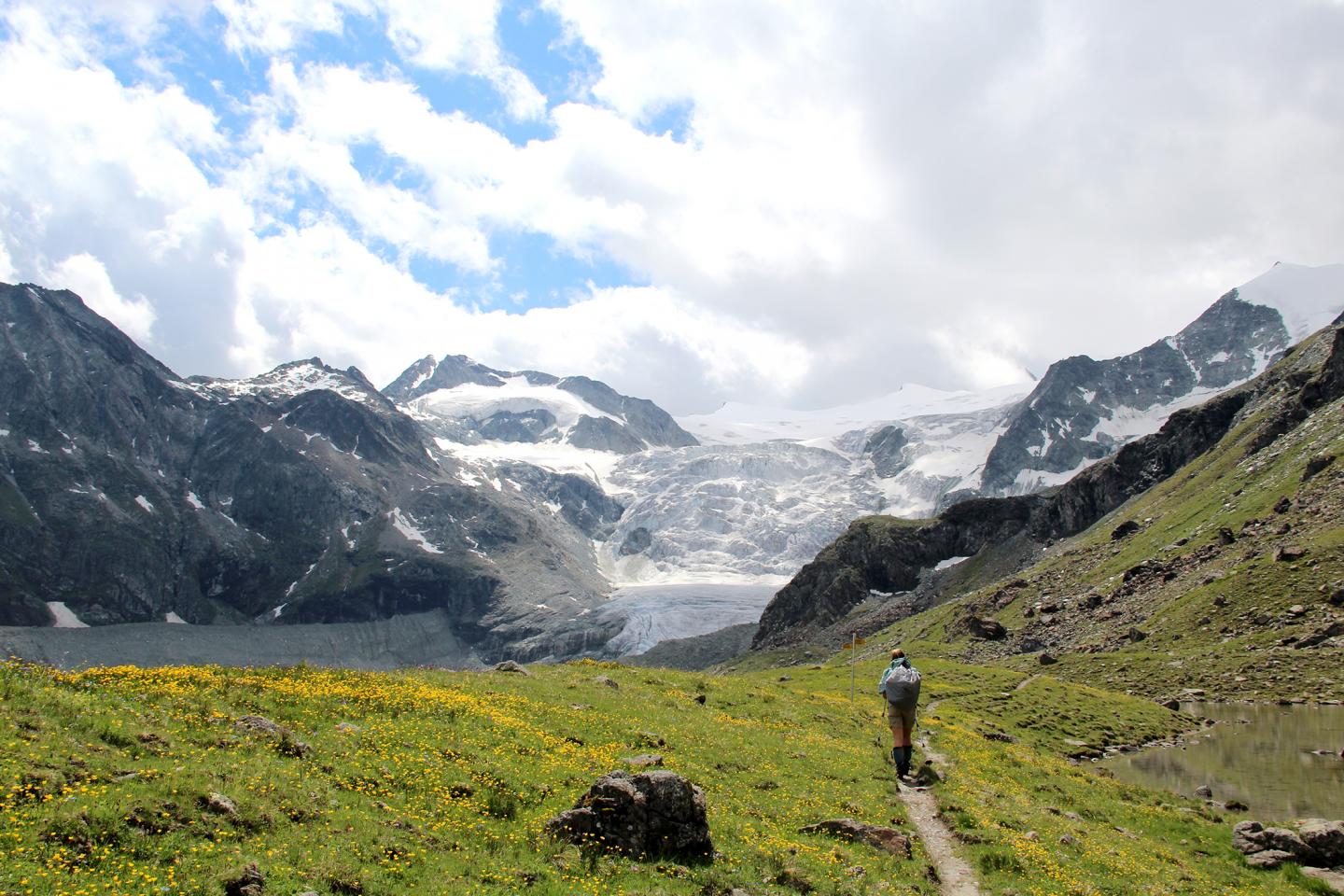 Swiss Alps Ecotourism