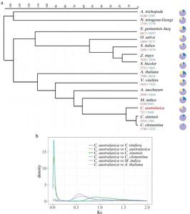 Fig.2