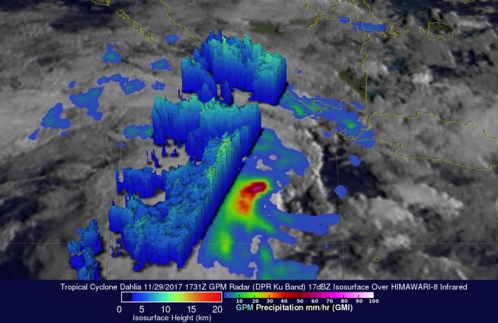 GPM image of Dahlia