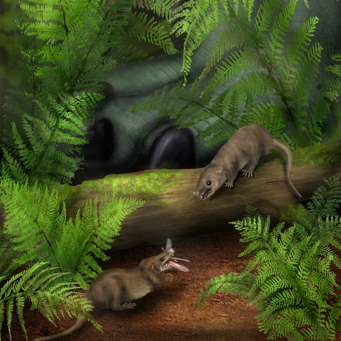 Artistic reconstruction of early mammal ancestors