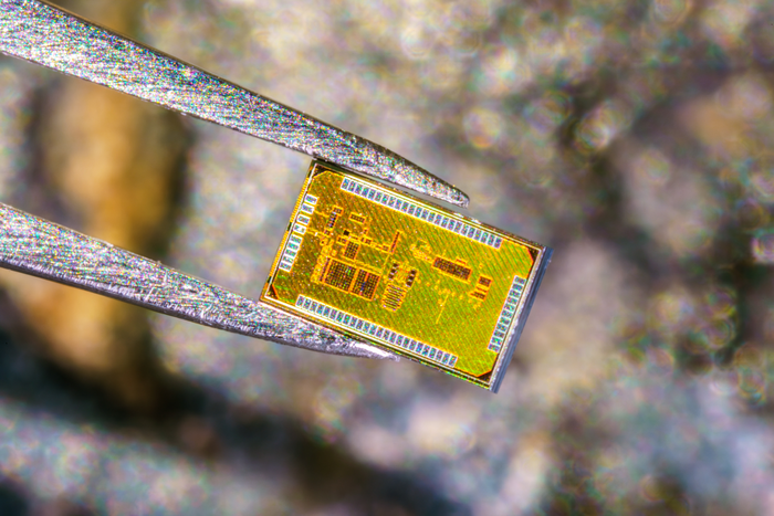 Close up of a chip