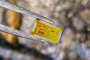 Close up of a chip