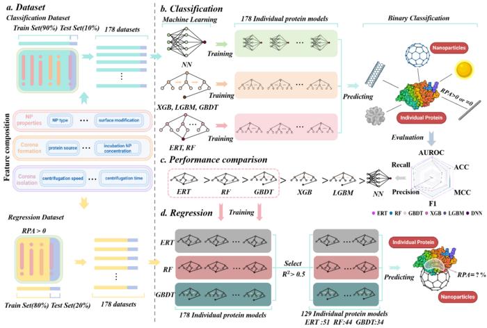 Fig. 1 A framework for machine learning-based prediction of the relative protein abundance of multiple proteins on the protein corona