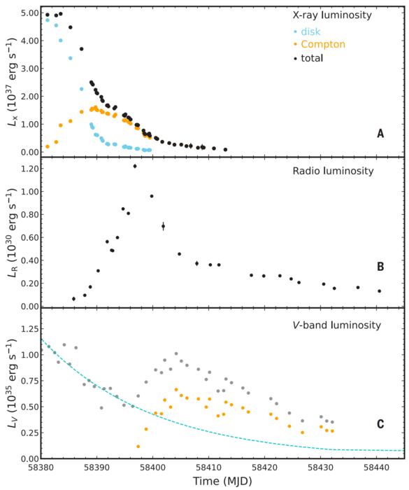 Multi-wavelength light curves (showing the change in brightness over time) of the black hole X-ray binary MAXI J1820+070