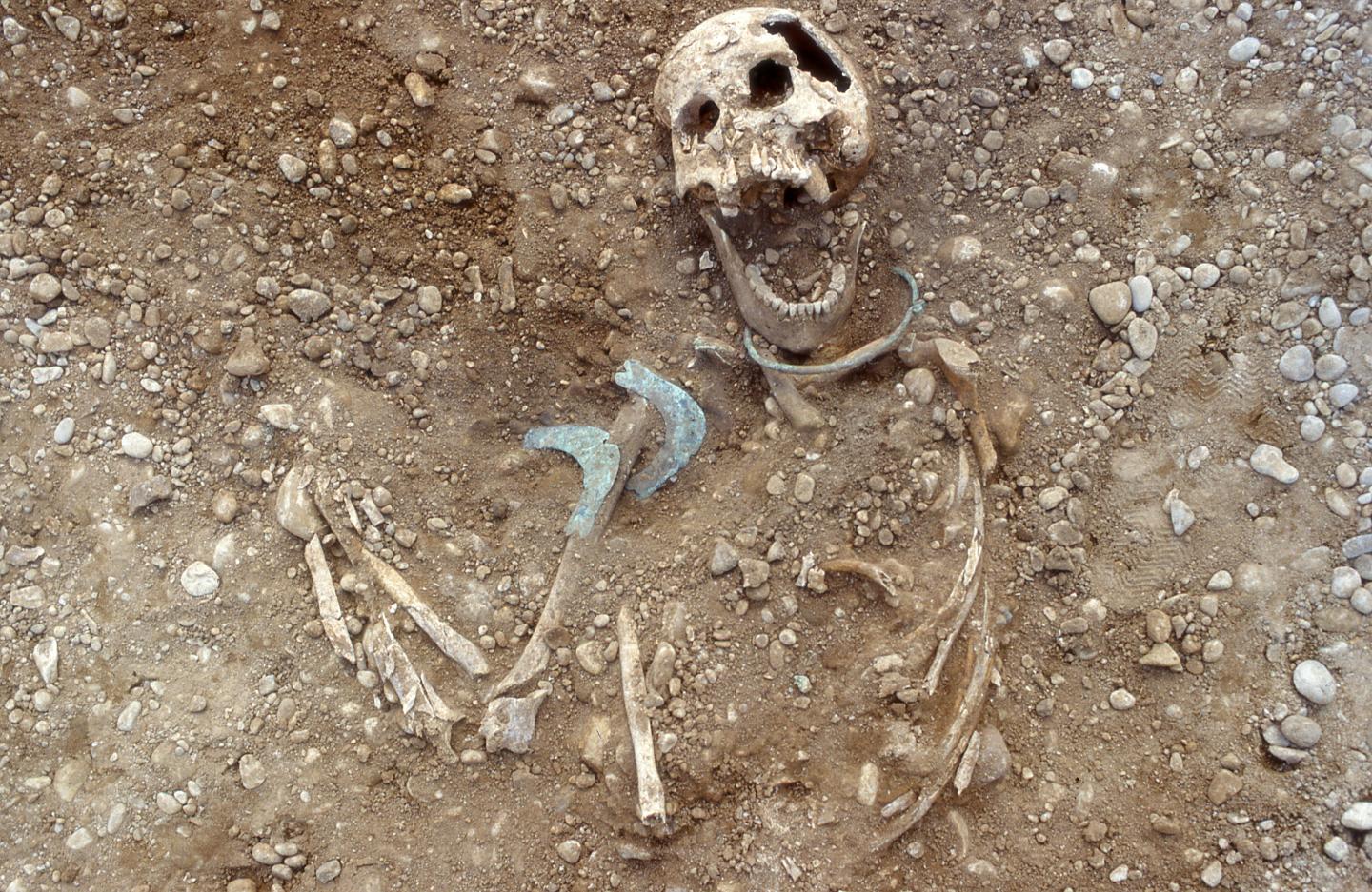Burial of a Nonlocal Female