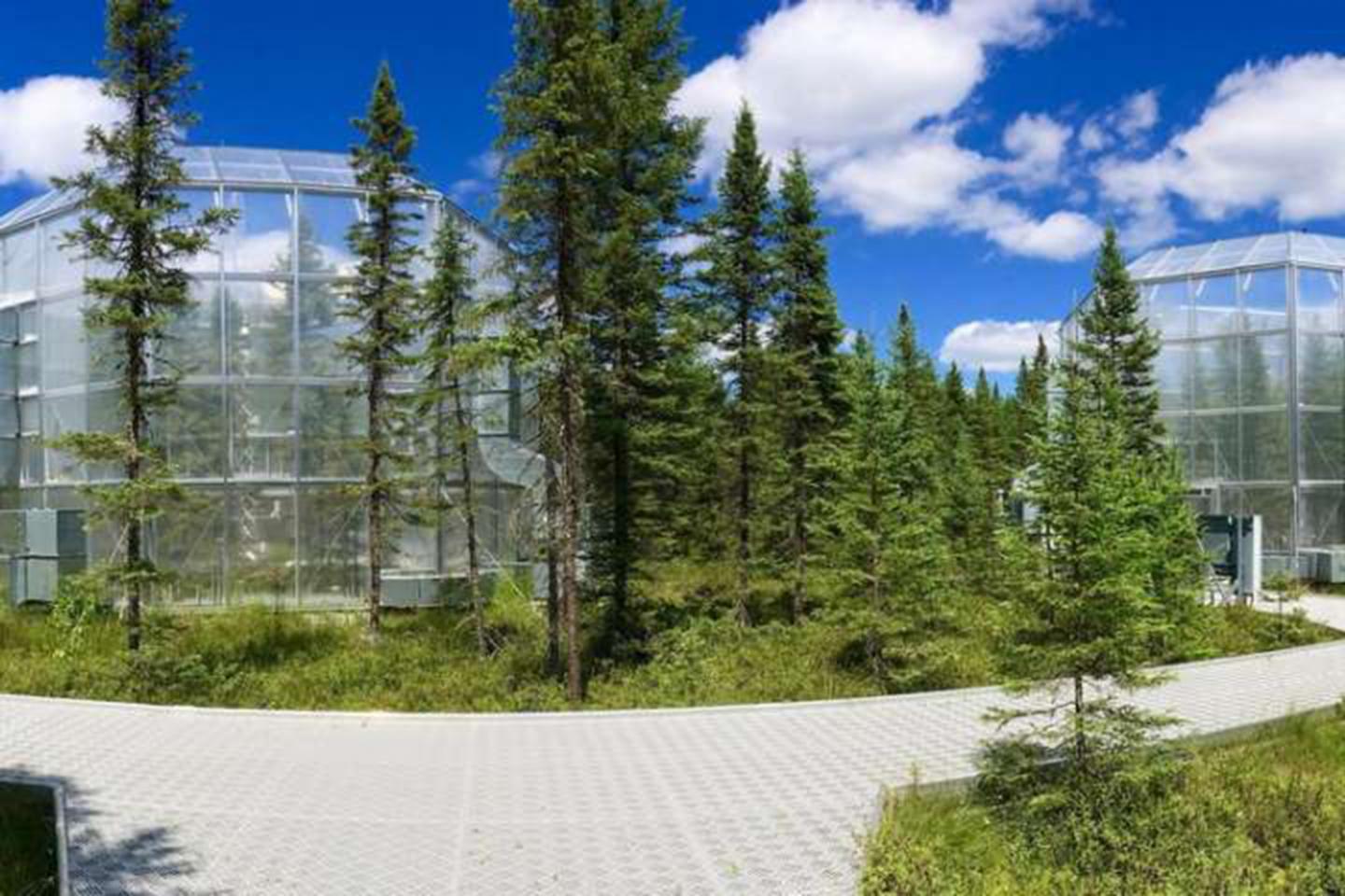 Climate-Controlled Chambers