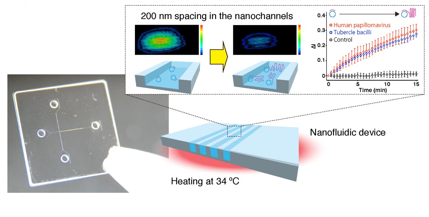 Novel Real-Time DNA Amplification Detection