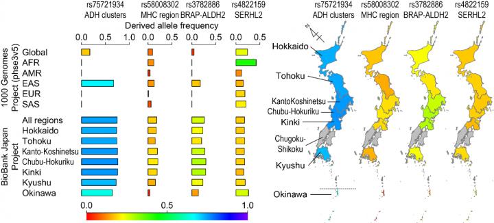 Fig.2 Genetic Variants