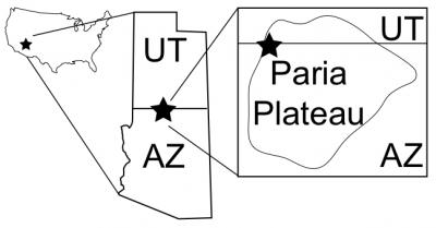 Dinosaur Dance Floor Locator Map