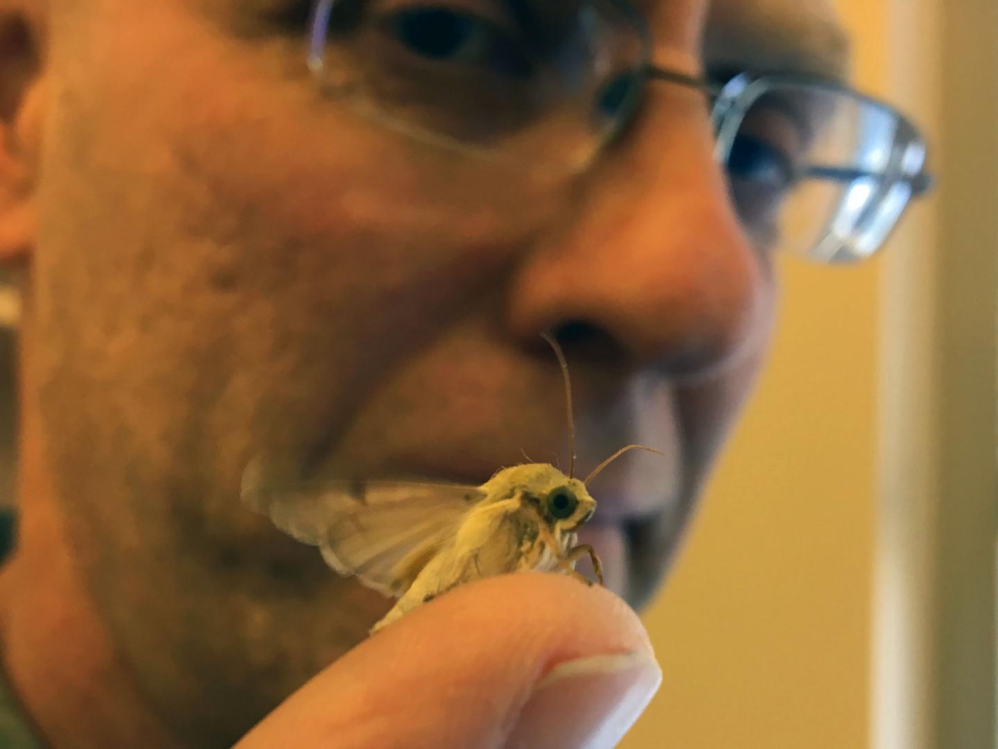 Neil Vickers, University of Utah and Moth