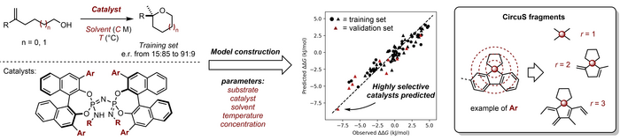 Fast and robust predictive models using 2D descriptors particularly suited for asymmetric catalysis