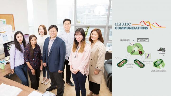 Professor Ryu and Professor Kwak's Team