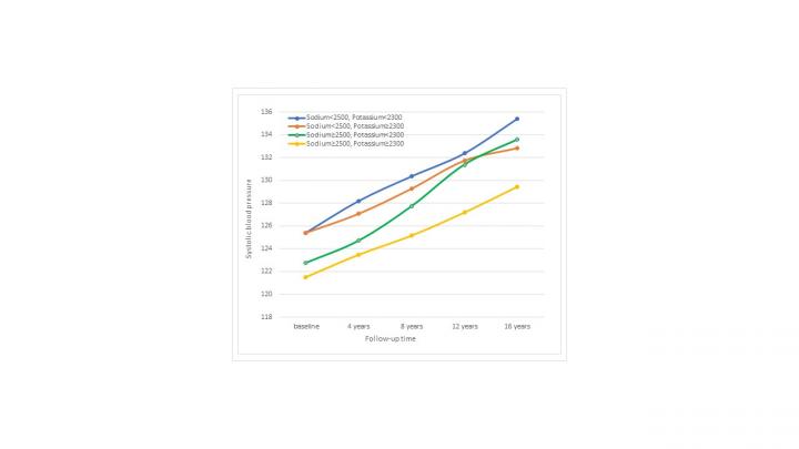 Systolic Blood Pressure -- Sodium and Potassium