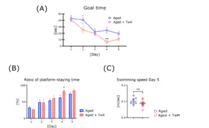 Blended antioxidant supplement improves spatial cognition in mice