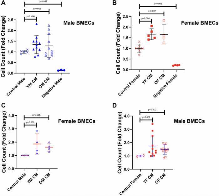 The effects of young and aged, male and female megakaryocyte conditioned media on angiogenic properties of endothelial cells