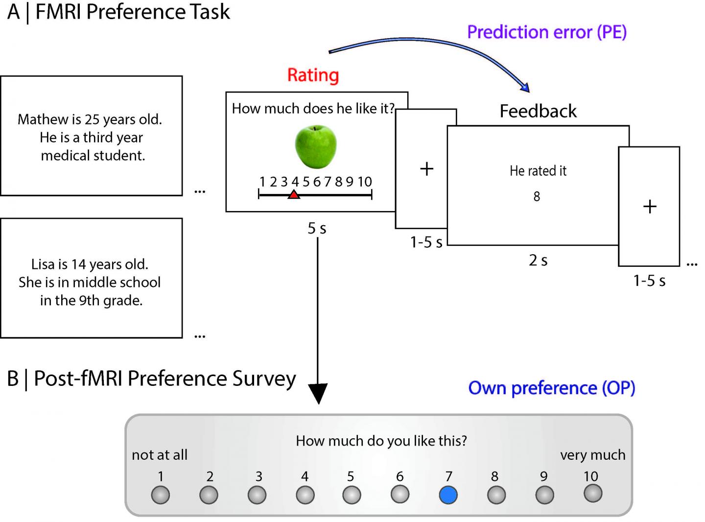 Preference Task