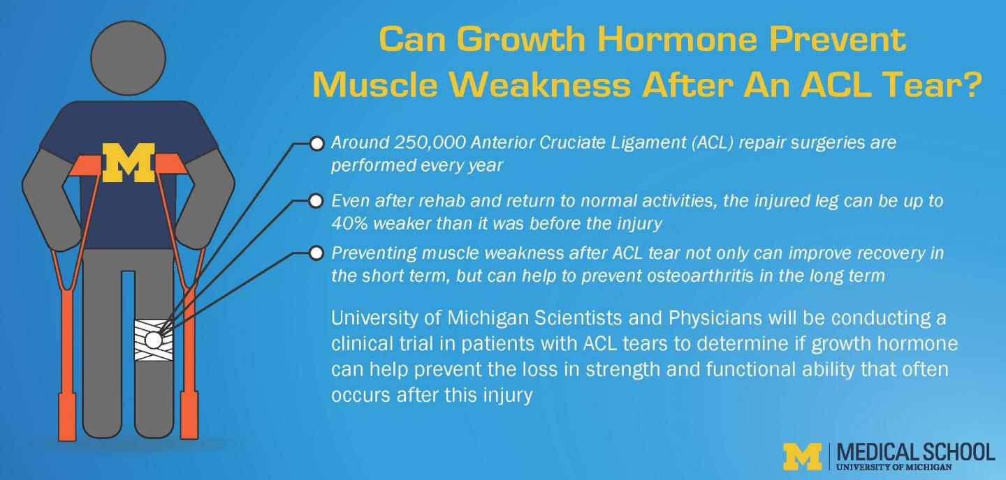 New Clinical Trial on Human Growth Hormone at the University of Michigan