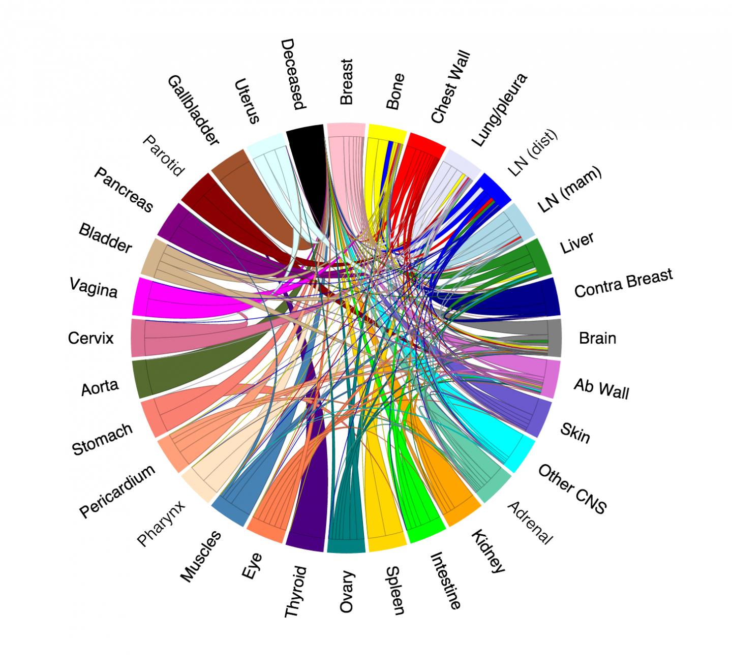 Markov Network of All Studied Breast Cancer Patients