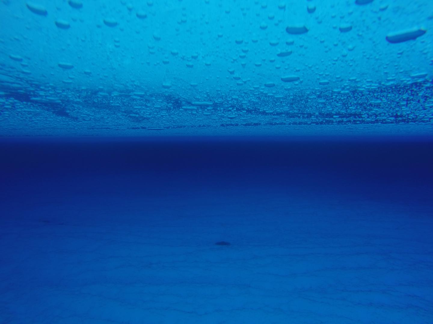 Underwater Picture of Englacial Lake