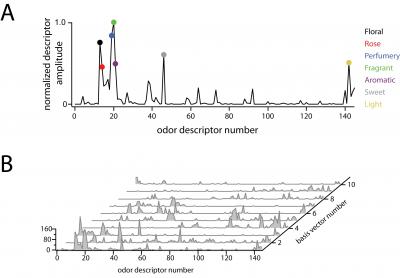 What's That Smell? New Research Sniffs Out Odor Categories with Math