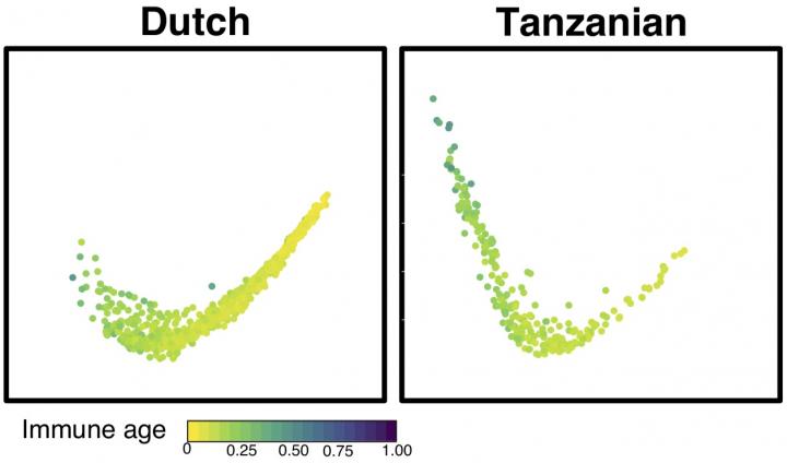 Geography, Age and Anemia Shape Childhood Vaccine Responses in Sub-Saharan Africa (2 of 4)