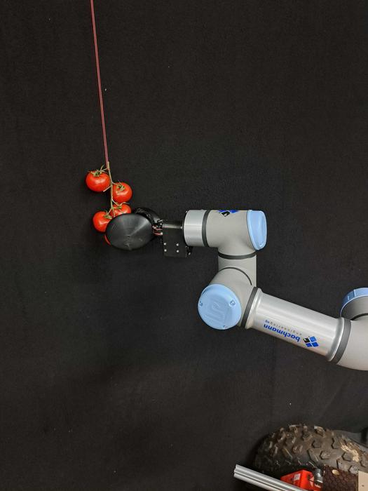 Chat-GTP robot in the lab