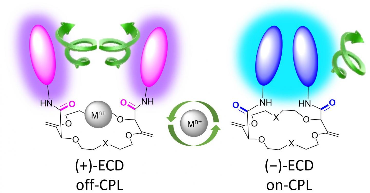 A Molecular Switch [IMAGE] EurekAlert! Science News Releases