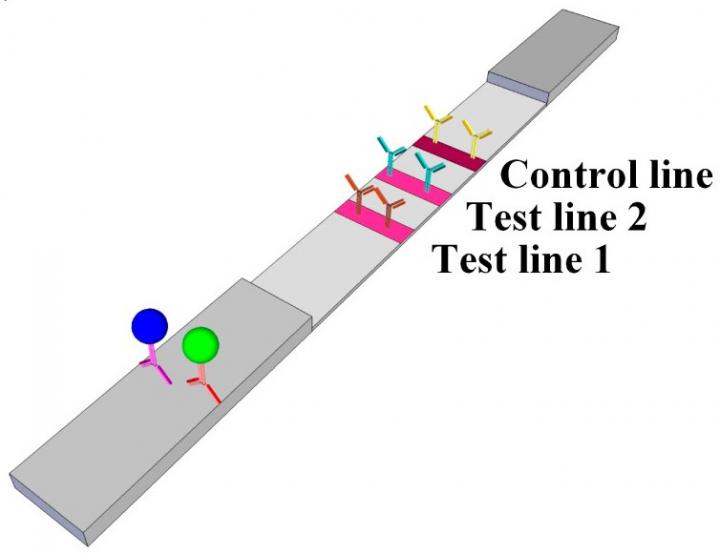 Paper Test Strip Could Help Heart Failure Patients Monitor Their Condition at Home