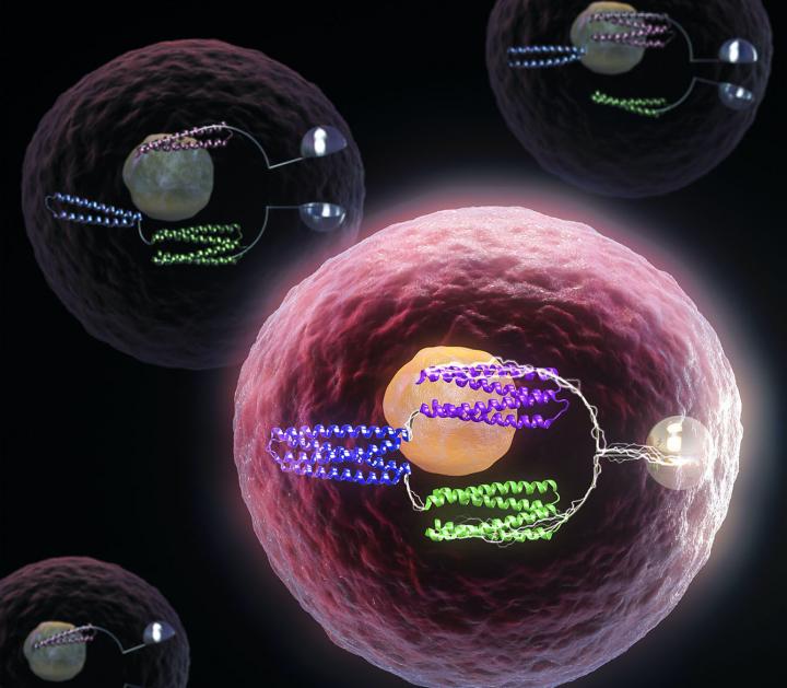 Conceptual Image of Cells Containing Logic Gates