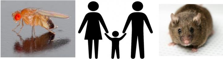 Not An Unusual Trio Anymore