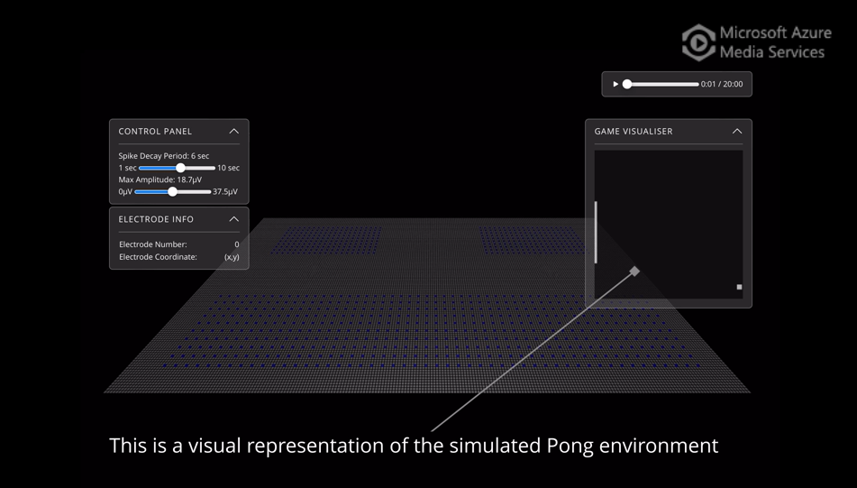 Simulated Pong environment
