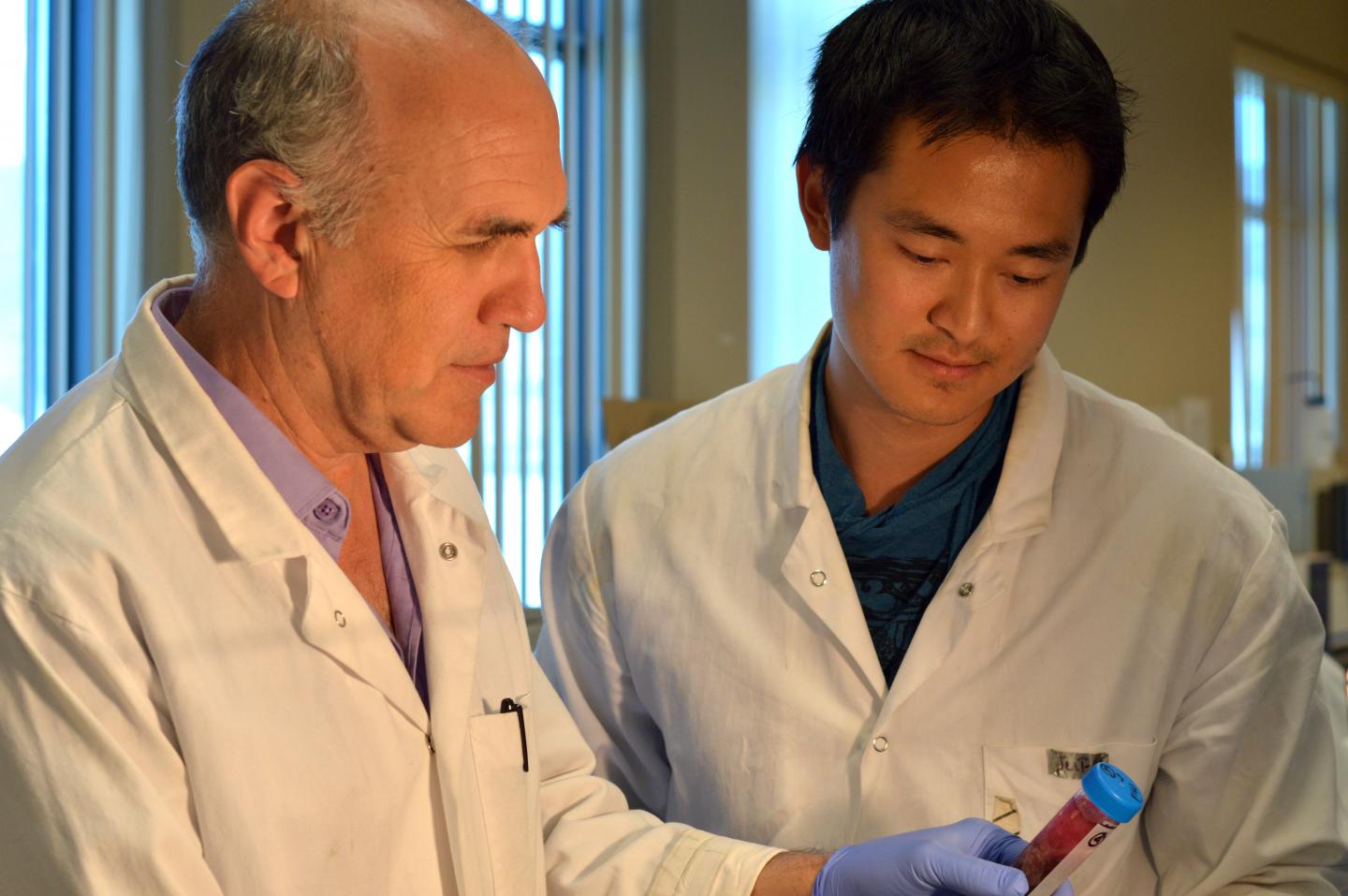 Dan Durall and Ben Tankikachornkiat, University of British Columbia Okanagan Campus