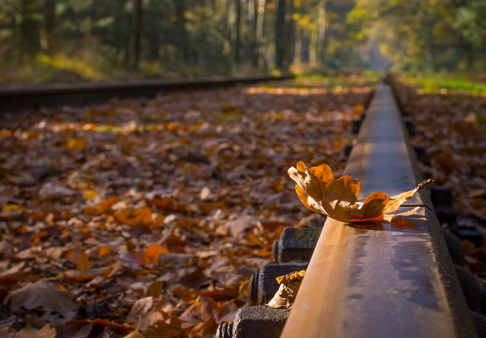 IRR’s railway research wins prestigious award from the IMechE