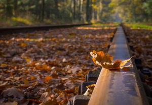 IRR’s railway research wins prestigious award from the IMechE