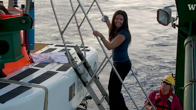 Surprising Discoveries in Coral Reefs Found in Low-Light Waters