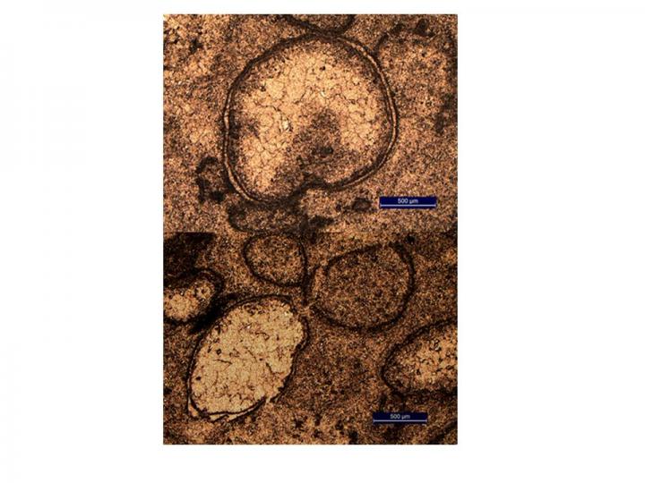 Glass Beads (Spherules)