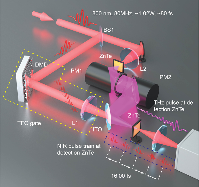 Experimental setup