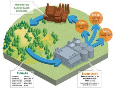 UGA Biorefinery and Carbon Cycling Program