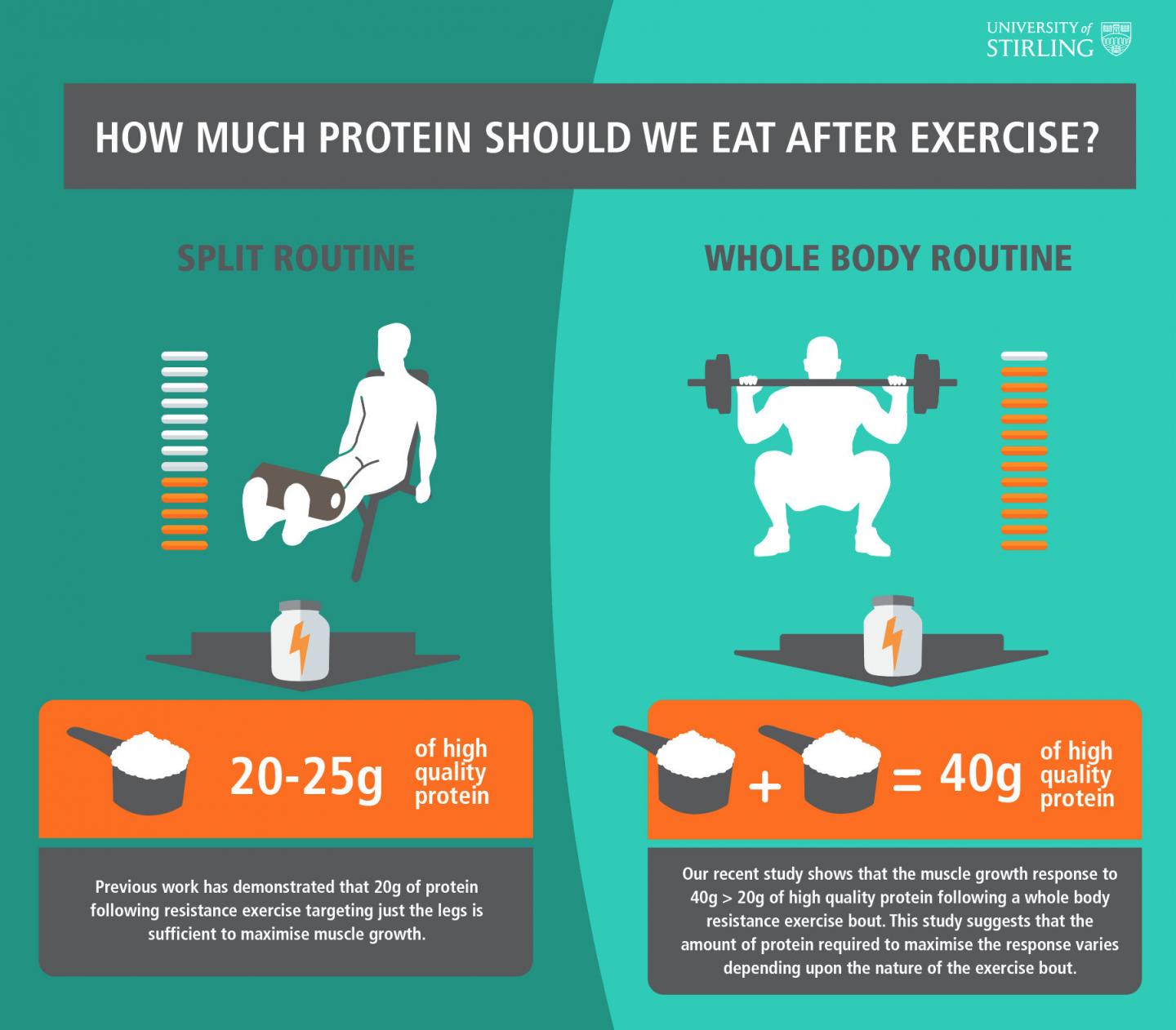 Protein Recommendations Infographic