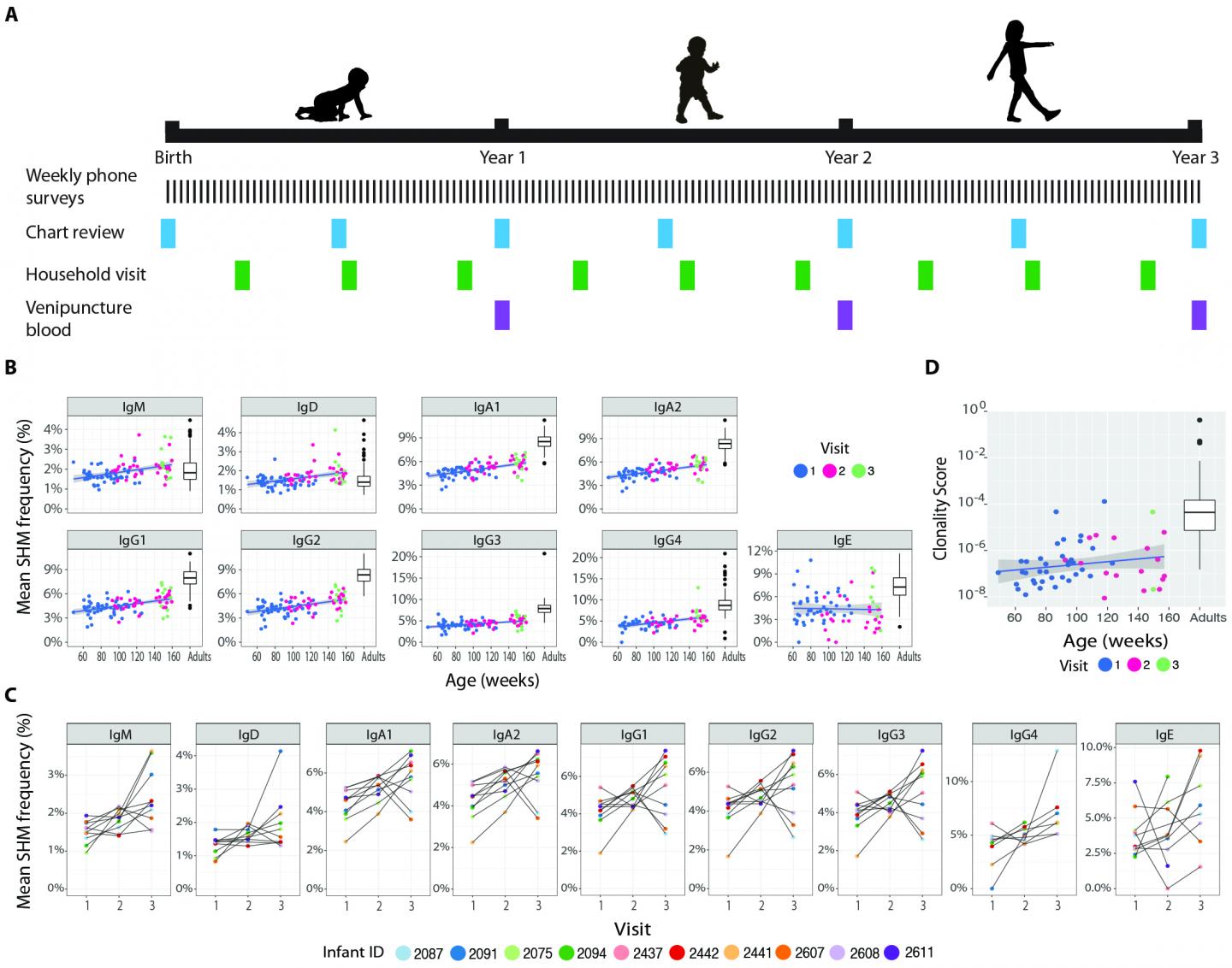 Environmental Variables May Influence B Cell Development and Allergies in Children (1 of 1)