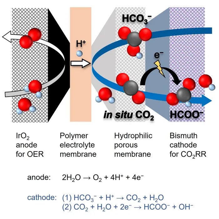 New electrochemical cell for reactive carbon capture.