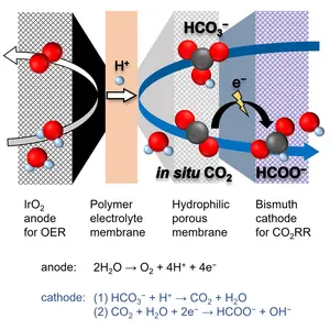 Innovative Electrochemical Cell for Green Fuel Production from Carbon Capture